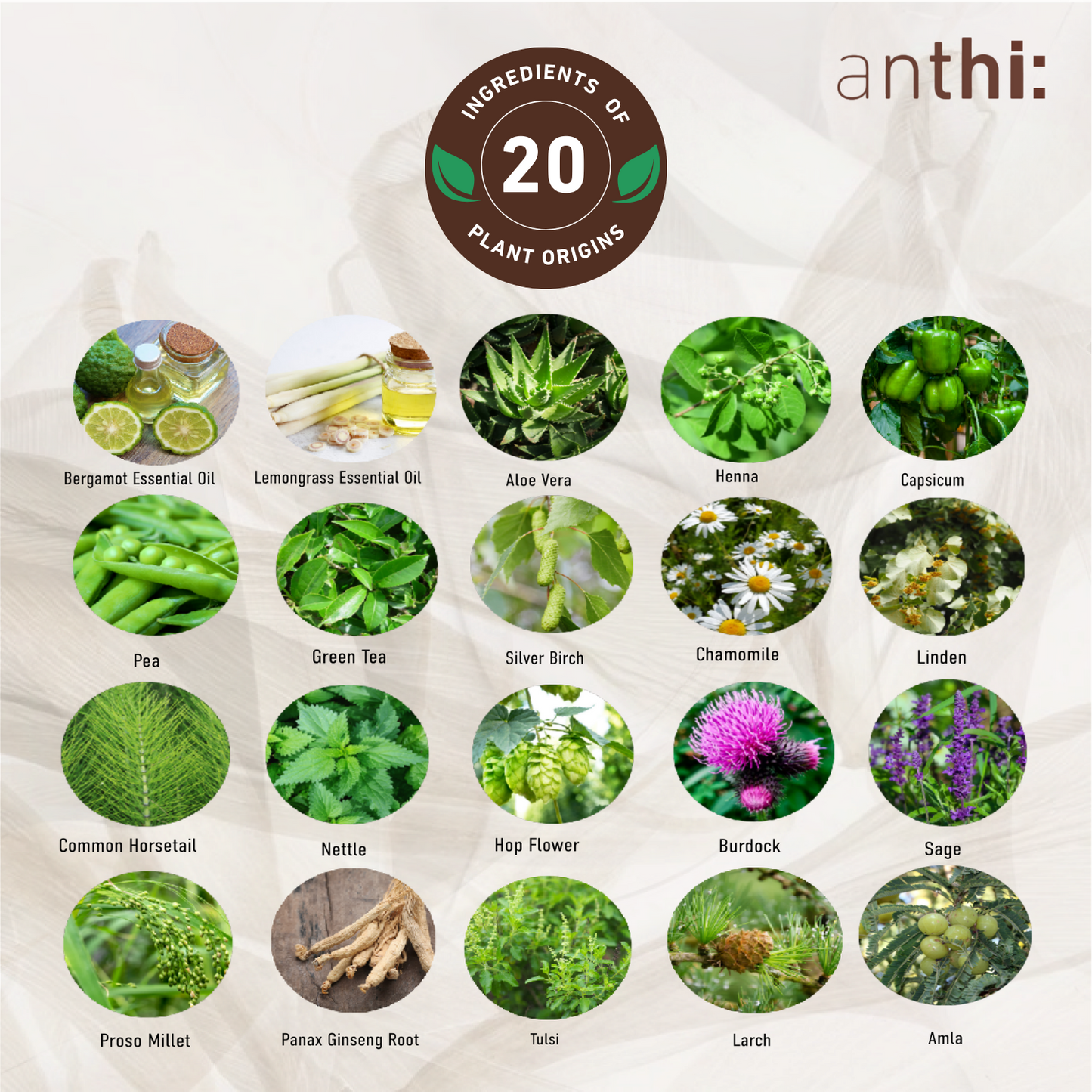 Anti-Thinning Hair Serum For Hair Thickening and Hair Growth