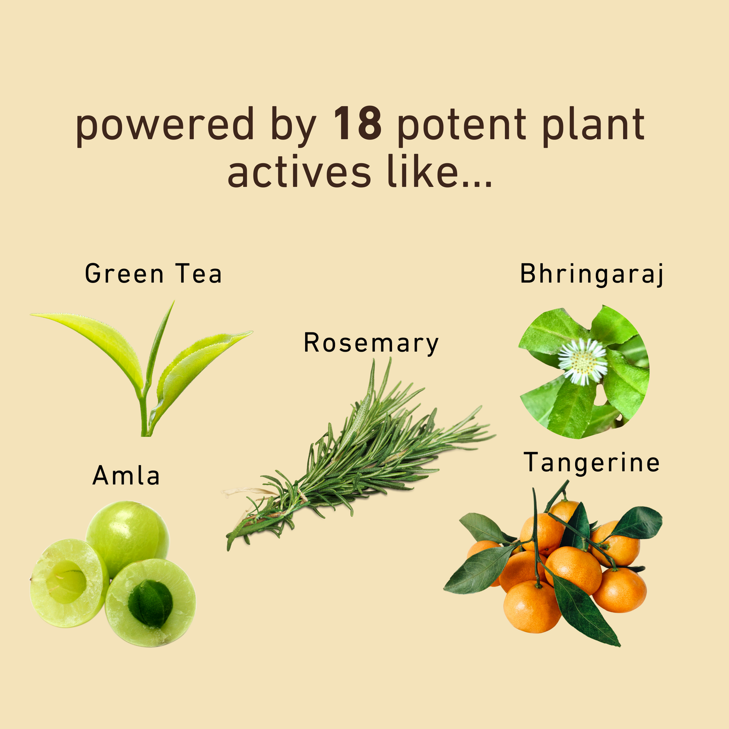 Advanced Hair Serum for Hair Thinning and Grey Hair