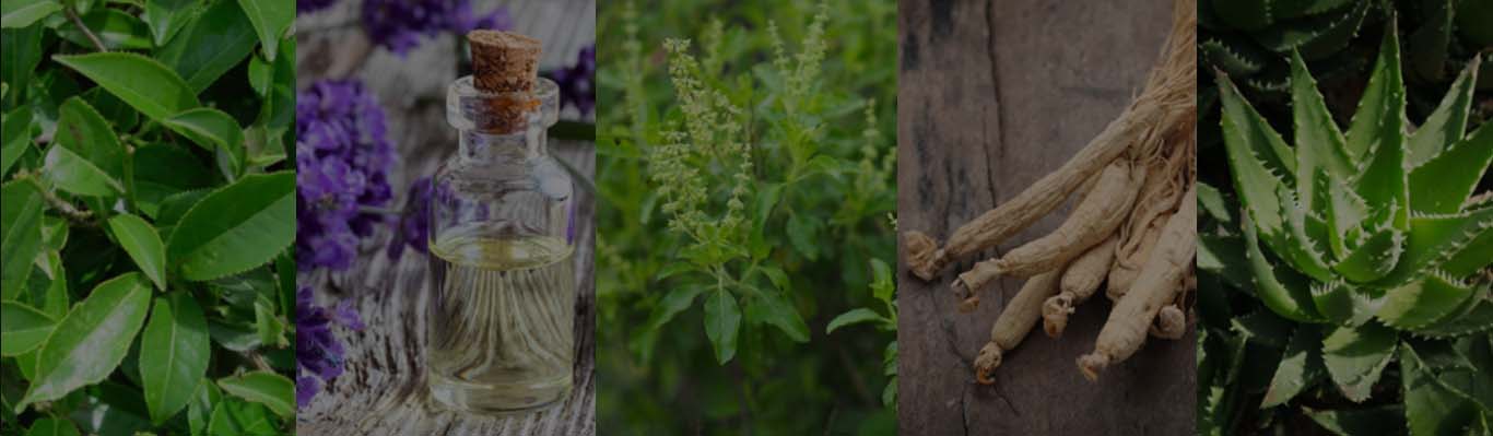 Ingredients of Plant Origins for Anthi-Banner