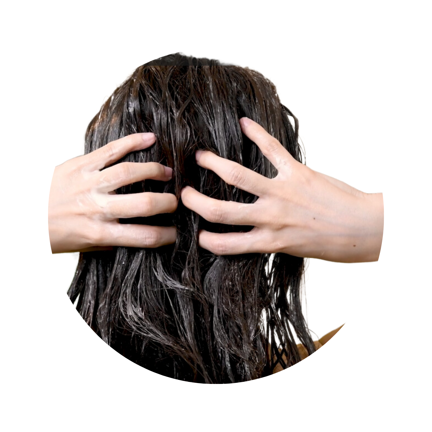 How To Use Anthi's Anti-Thinning Hair Conditioner-For Thinning Hair-1